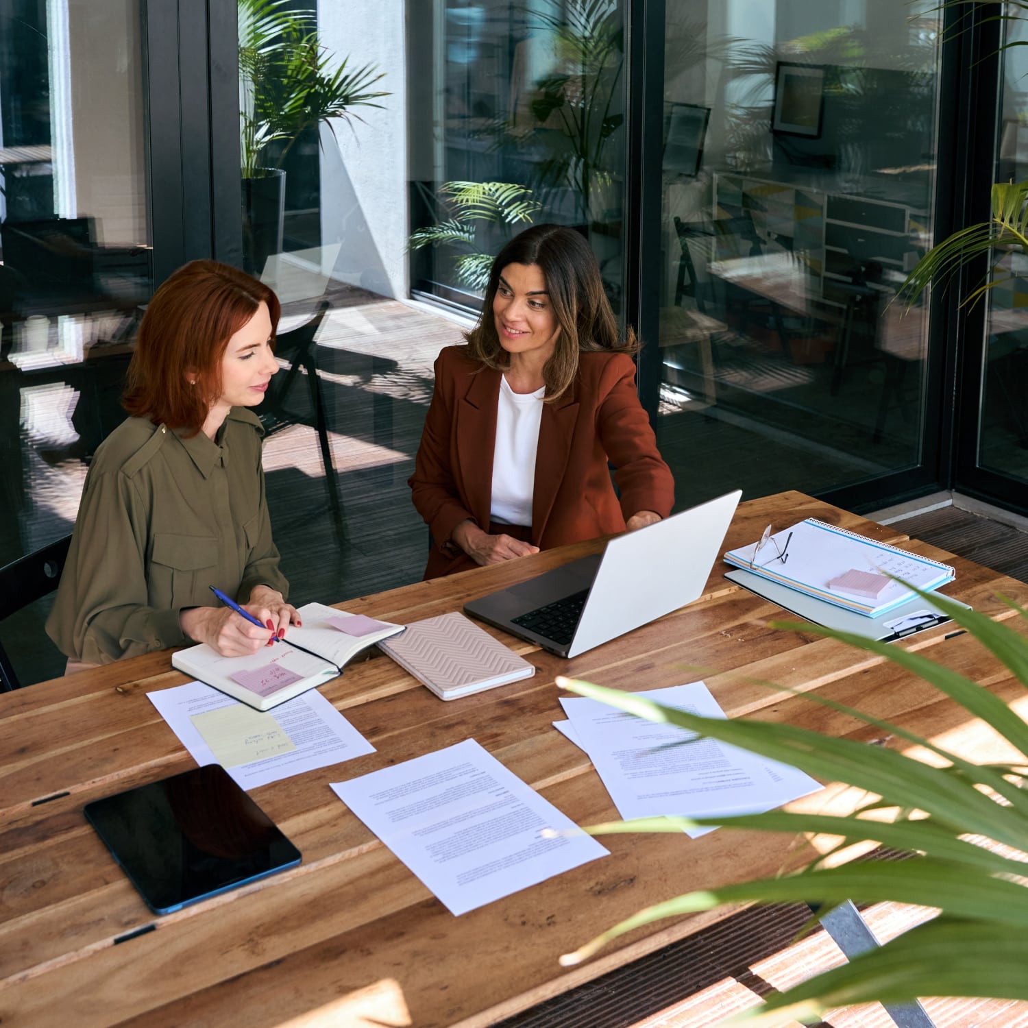 Business Acquisition Technical Audit